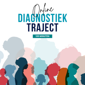 Diagnostiek (1x120 minuten)
